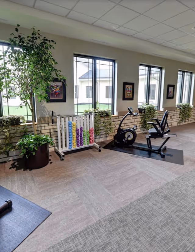 A bright indoor exercise area with large windows letting in natural light. The room features a recumbent exercise bike on a black mat, a rack of colorful small dumbbells, and several potted plants along the wall. Framed artwork hangs between the windows, and the floor is carpeted.