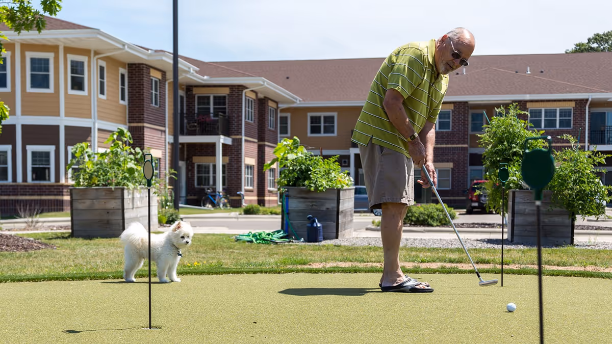 An elderly man wearing a green striped shirt and beige shorts is playing putting golf on a green lawn area outside a senior living facility. A small white dog stands nearby on the grass. The background shows a two-story building with brown and yellow exterior walls and several windows.