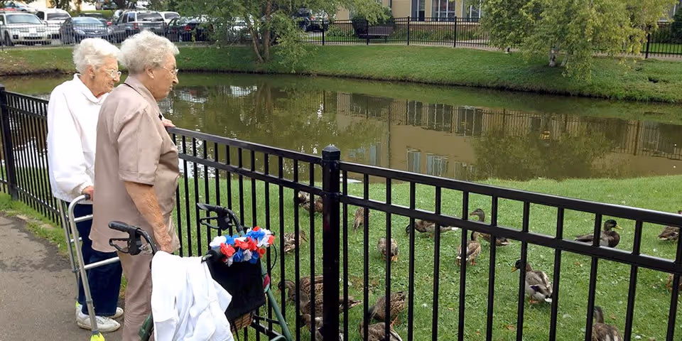 Two elderly women standing by a black metal fence looking at ducks on the grass near a pond. One woman is using a walker decorated with red, white, and blue flowers, and the other woman is using a walker with yellow tennis balls on the legs. There are parked cars and trees in the background across the pond.