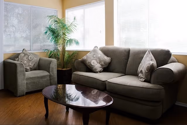 A cozy living room area with a gray upholstered sofa and matching armchair, each with patterned throw pillows. A wooden coffee table with a glossy finish is placed in front of the sofa. There is a tall green potted plant in the corner near two large windows with white blinds, allowing natural light to fill the room.
