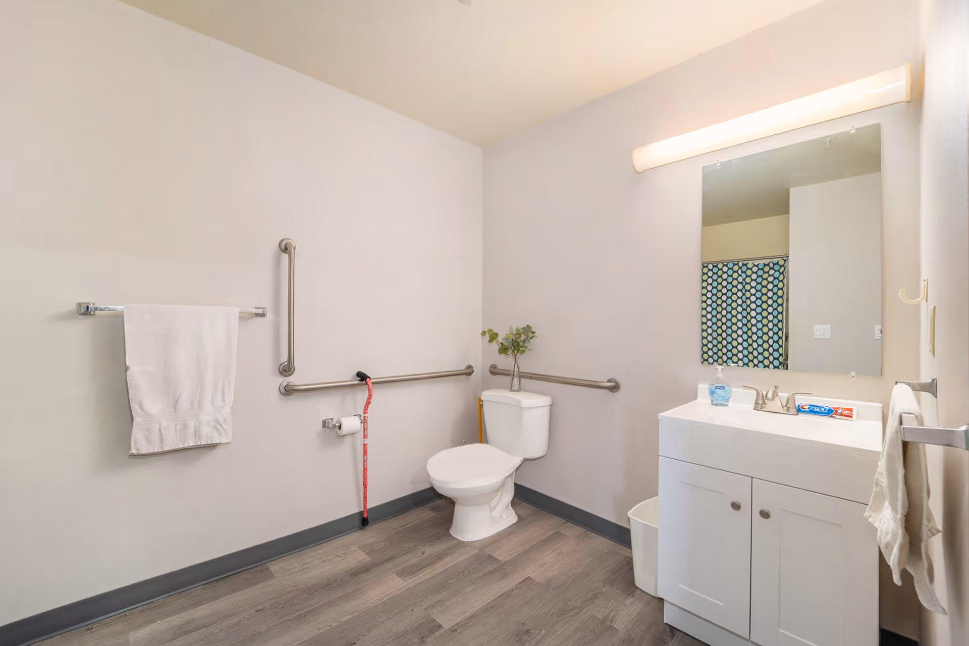 A clean, accessible bathroom with a white toilet, grab bars on the walls, a white vanity with a sink, a large mirror above the sink, a towel rack with a white towel, a walking cane hanging on a grab bar, and a shower curtain with a blue and green circular pattern visible in the mirror reflection.