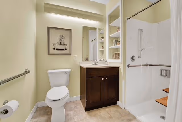 A clean and accessible bathroom featuring a white toilet, a dark wood vanity with a sink and mirror, open shelving with decorative items, and a walk-in shower with a built-in bench and grab bars. The walls are painted light yellow, and there is a framed picture of a dog in a bathtub above the toilet.