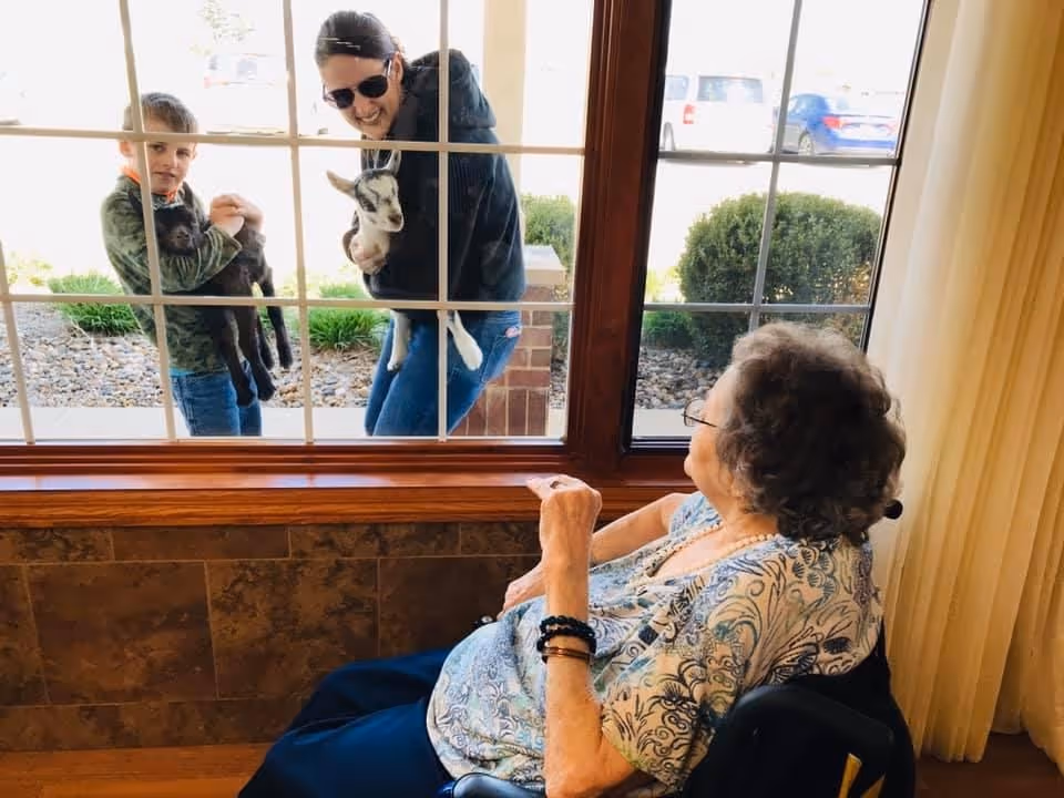 An elderly woman sitting in a wheelchair inside a building looks out through a large window at a woman and a young boy outside. The woman outside is holding a small goat, and the boy is holding a black animal, possibly a small goat or lamb. The scene appears warm and engaging, with greenery and parked cars visible outside.