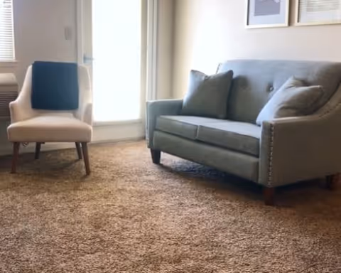 Small living room with a light blue loveseat and a beige armchair on a brown shag carpet near a window.