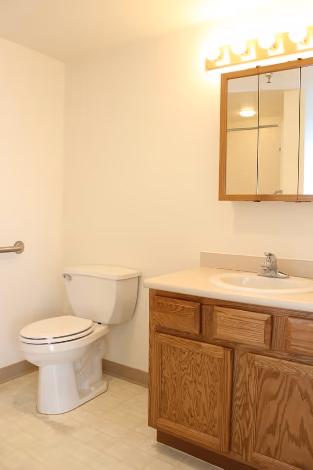 A clean bathroom with a white toilet, a wooden vanity with a white sink, and a mirrored medicine cabinet above the sink. The walls are light-colored and the floor has a light tile pattern.