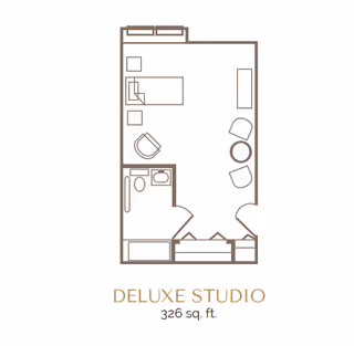 Floor plan of a deluxe studio apartment measuring 326 square feet, showing a combined living and sleeping area with a bed, seating area with two chairs and a round table, a small bathroom with a toilet and sink, and an entry area with closets.
