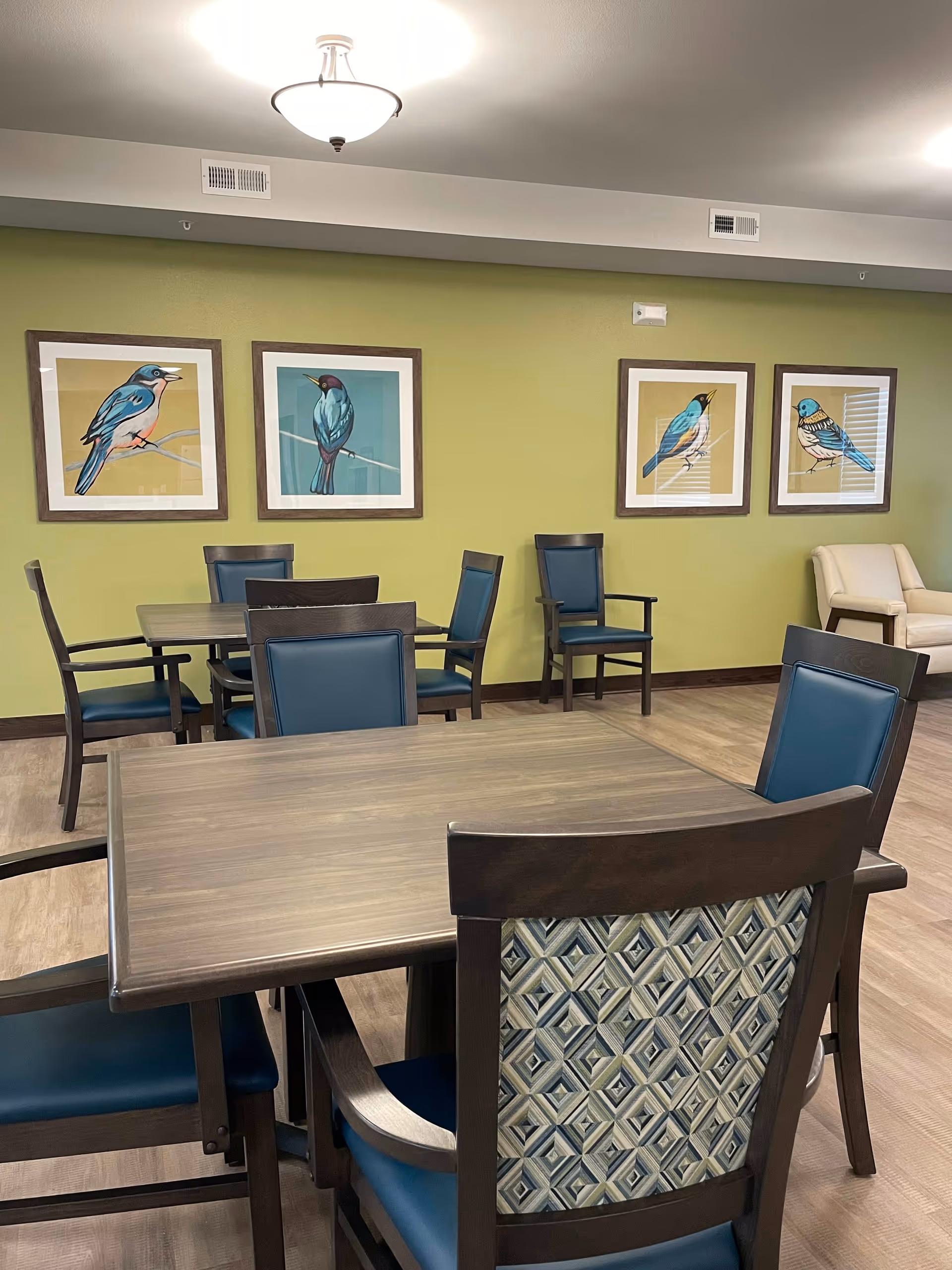 A dining area with wooden tables and chairs featuring blue cushions and patterned backs. The walls are painted green and decorated with four framed pictures of colorful birds. There is a beige armchair in the corner and ceiling lights illuminating the room.