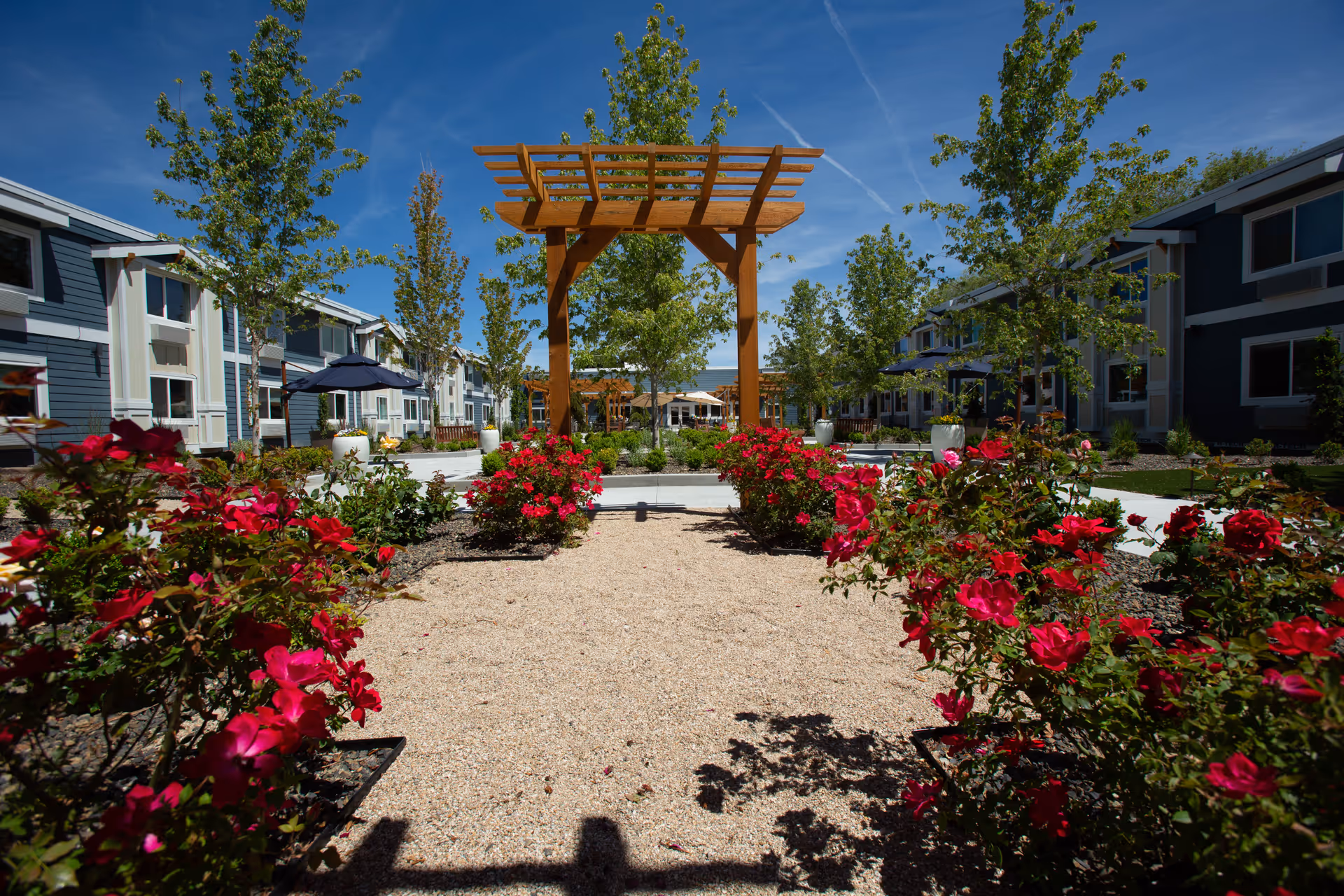 Outdoor garden area at Heatherwood Senior Living featuring a wooden pergola, vibrant red flowers, young trees, and pathways surrounded by two-story residential buildings under a clear blue sky.