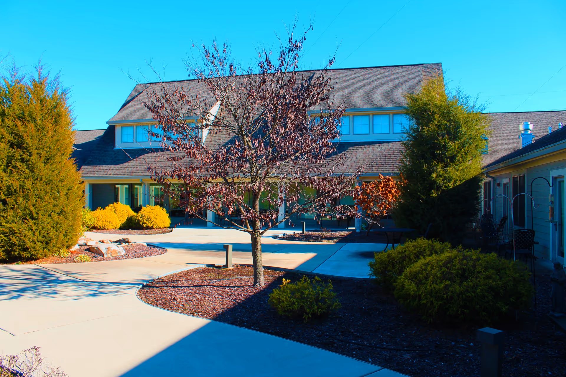 Outdoor courtyard area of Sherbrooke Village Living Center featuring a paved walkway, landscaped garden beds with bushes and a leafless tree, surrounded by building structures under a clear blue sky.