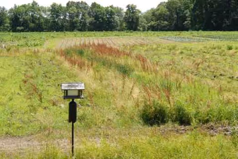 An open grassy field with a small signpost and distant trees.