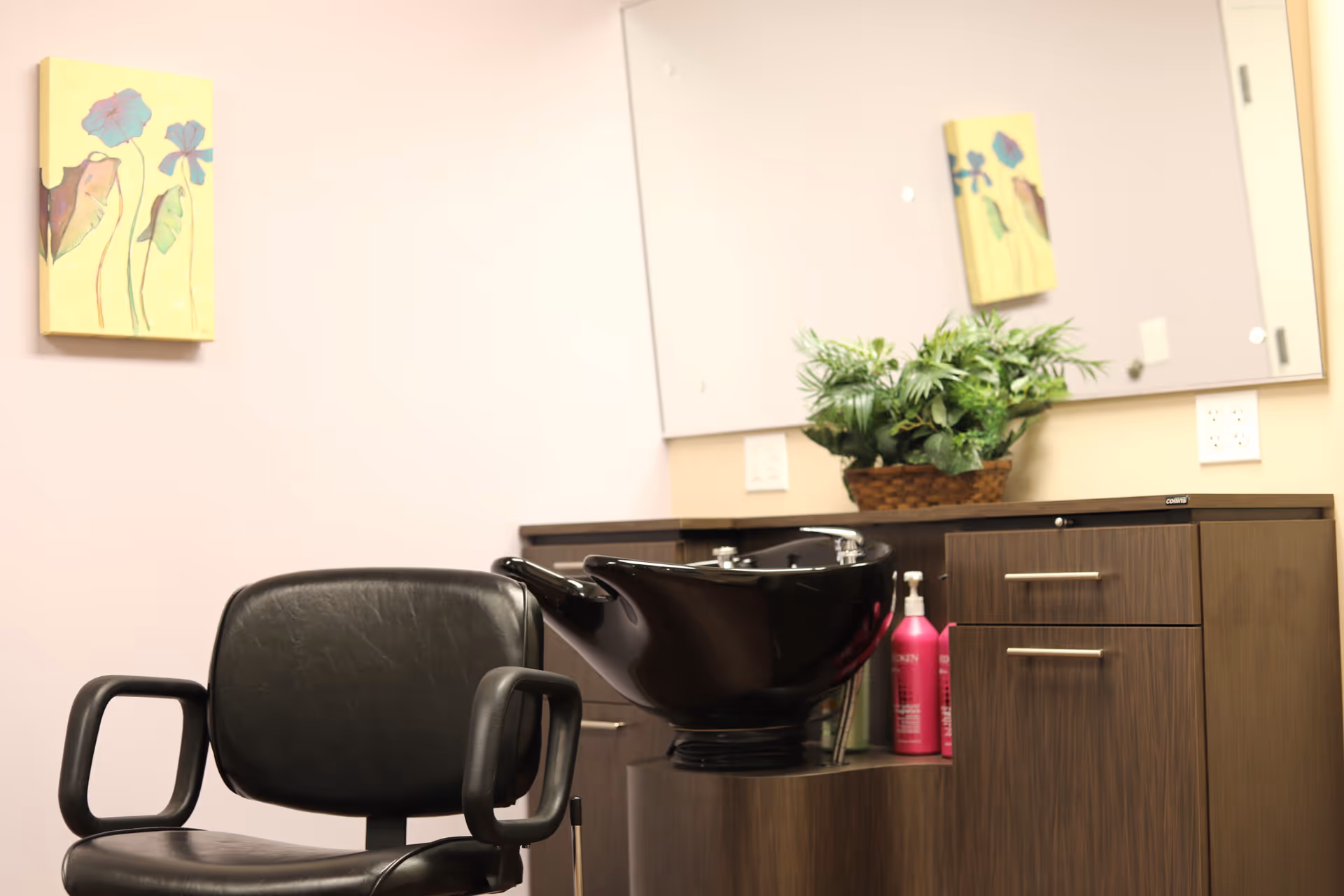 Interior view of a hair washing station in a salon area with a black salon chair, a black shampoo basin, a wooden cabinet with drawers, a basket with green plants on the counter, and a large mirror on the wall reflecting part of the room. A small floral painting is hung on the light-colored wall.