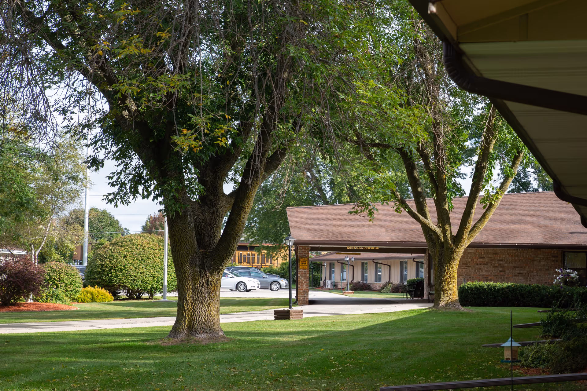 View of the outdoor grounds at Meadow View Health Services featuring green grass, large leafy trees, a driveway, parked cars, and a building with a covered entrance.