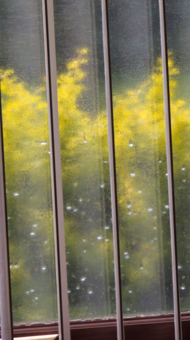 View through a window with vertical metal bars, showing a blurred background of green and yellow foliage outside. The window glass has water droplets on it.