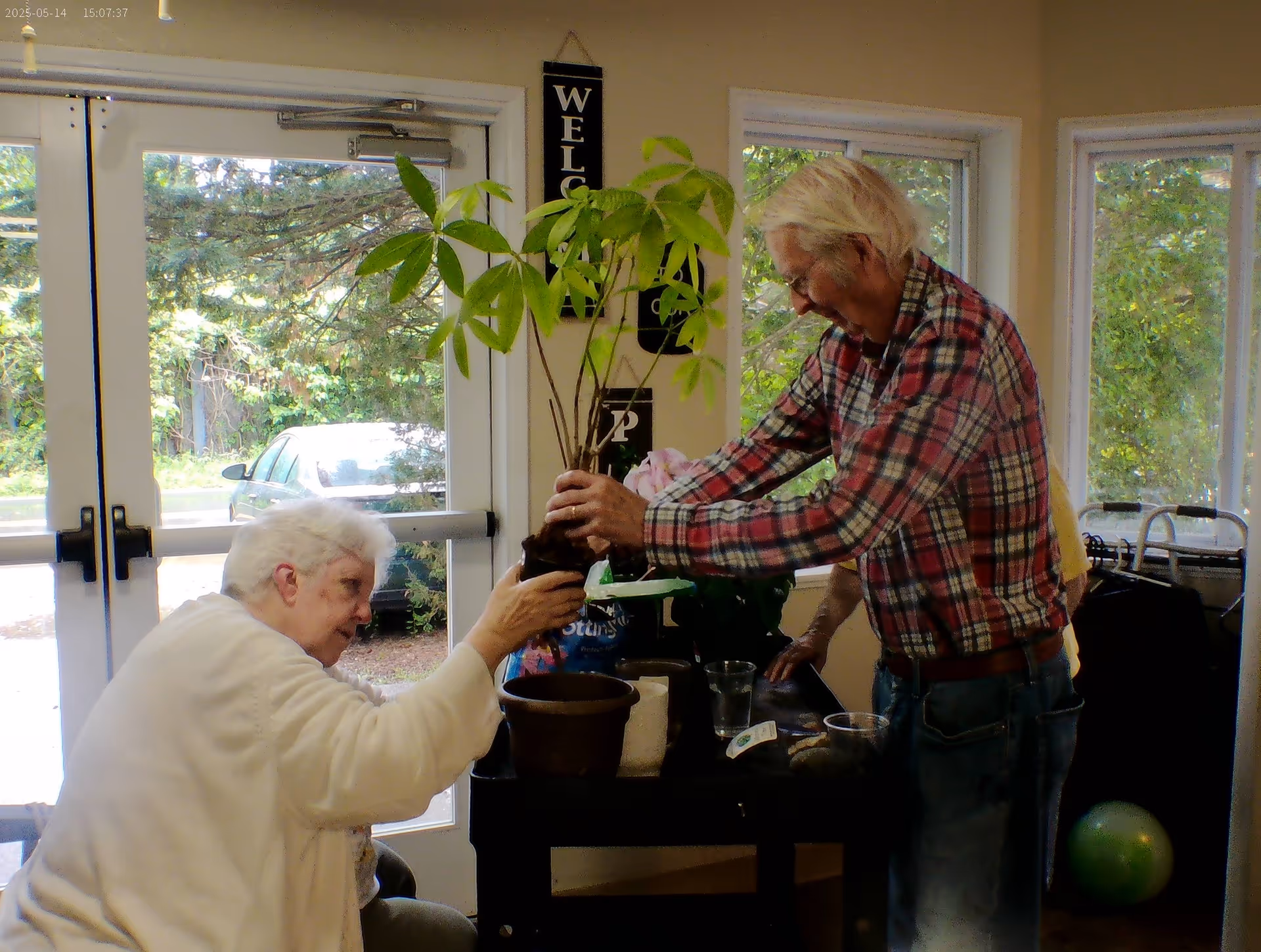 An elderly man and woman indoors near large windows and a glass door, working together to plant a small tree in a pot. The man is wearing a red plaid shirt and jeans, and the woman is wearing a white sweater. There is a 'Welcome' sign on the wall behind them and greenery visible outside.