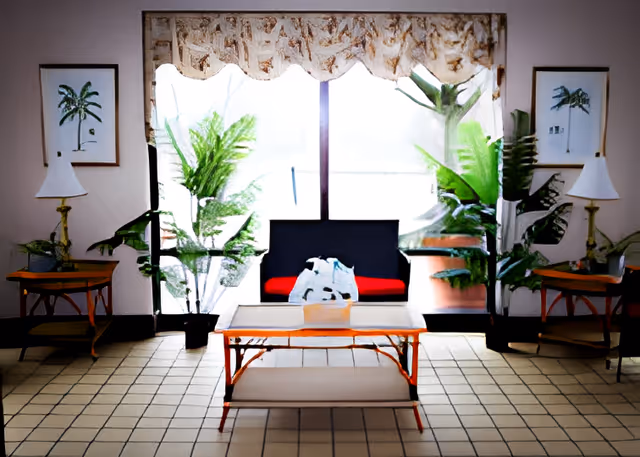 Sunlit common living room with a black sofa with red cushions, a coffee table, potted plants, side tables and lamps in front of a large window.