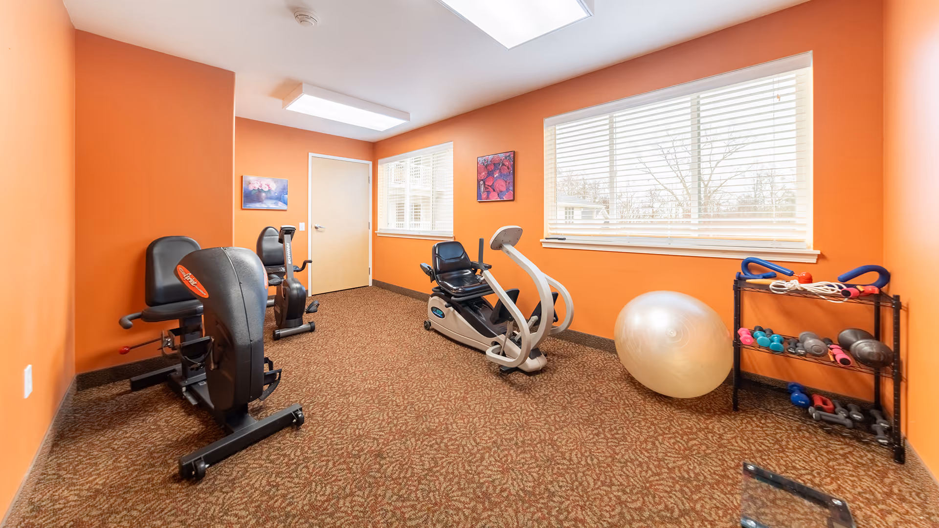A small exercise room with orange walls and patterned carpet. The room contains two recumbent exercise bikes, a large silver exercise ball, and a black metal rack holding various small weights and exercise equipment. Two windows with white blinds allow natural light into the room.