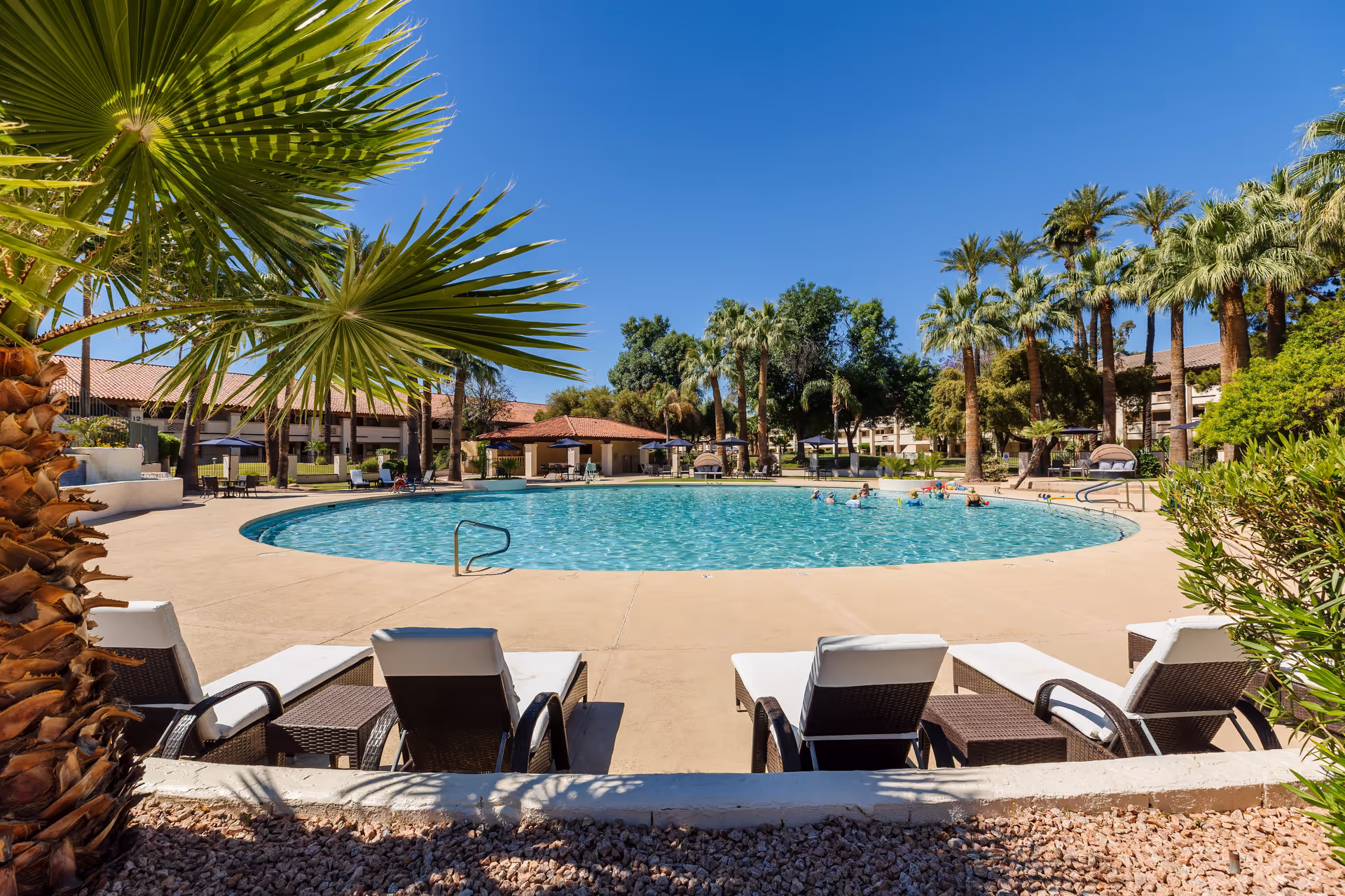 Outdoor swimming pool area at Park Terrace Senior Living by Cogir with several lounge chairs around the pool, palm trees, and a clear blue sky. Some people are in the pool enjoying the water.
