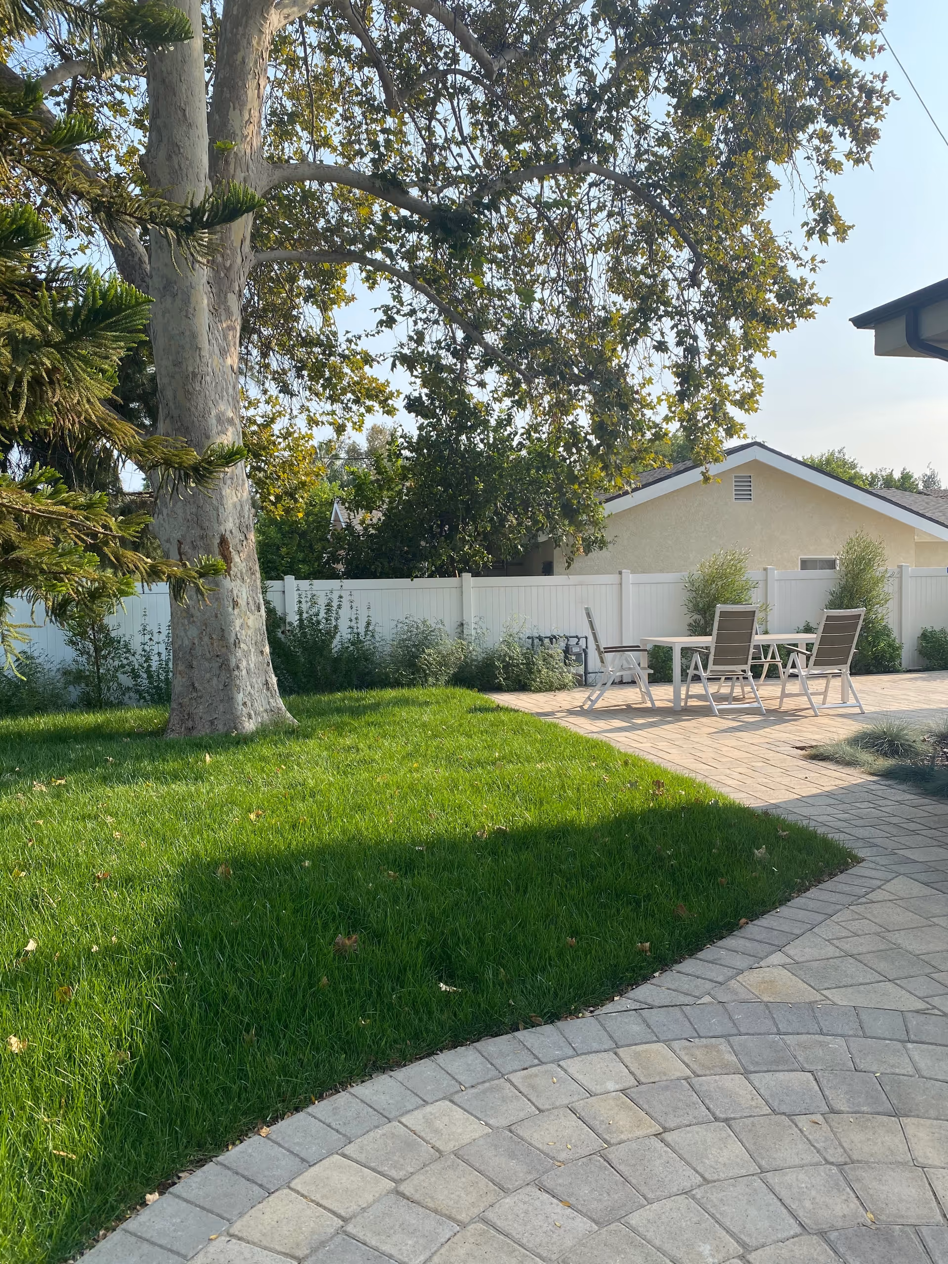 Outdoor patio area with a large tree, green grass, and a paved walkway. There are four chairs around a table on the patio, with a white fence and a beige building in the background under a clear sky.