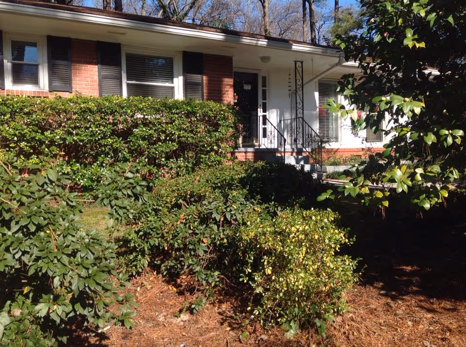 Front exterior view of a single-story brick house with white trim, black shutters, and a black front door. There are steps with a black metal railing leading up to the entrance. The yard in front of the house has various green bushes and plants, with trees in the background under a clear blue sky.