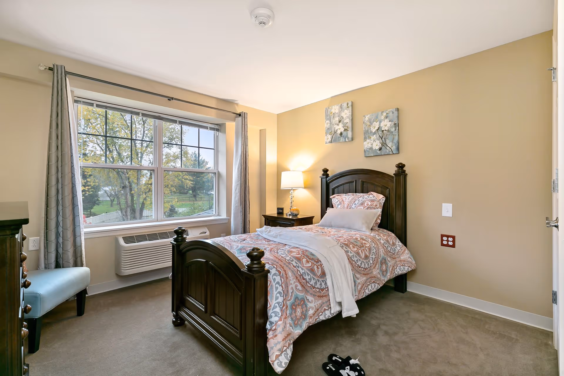 Bright single-occupancy bedroom with a dark wood bed, patterned bedding, nightstand with lamp, and a large window overlooking trees.