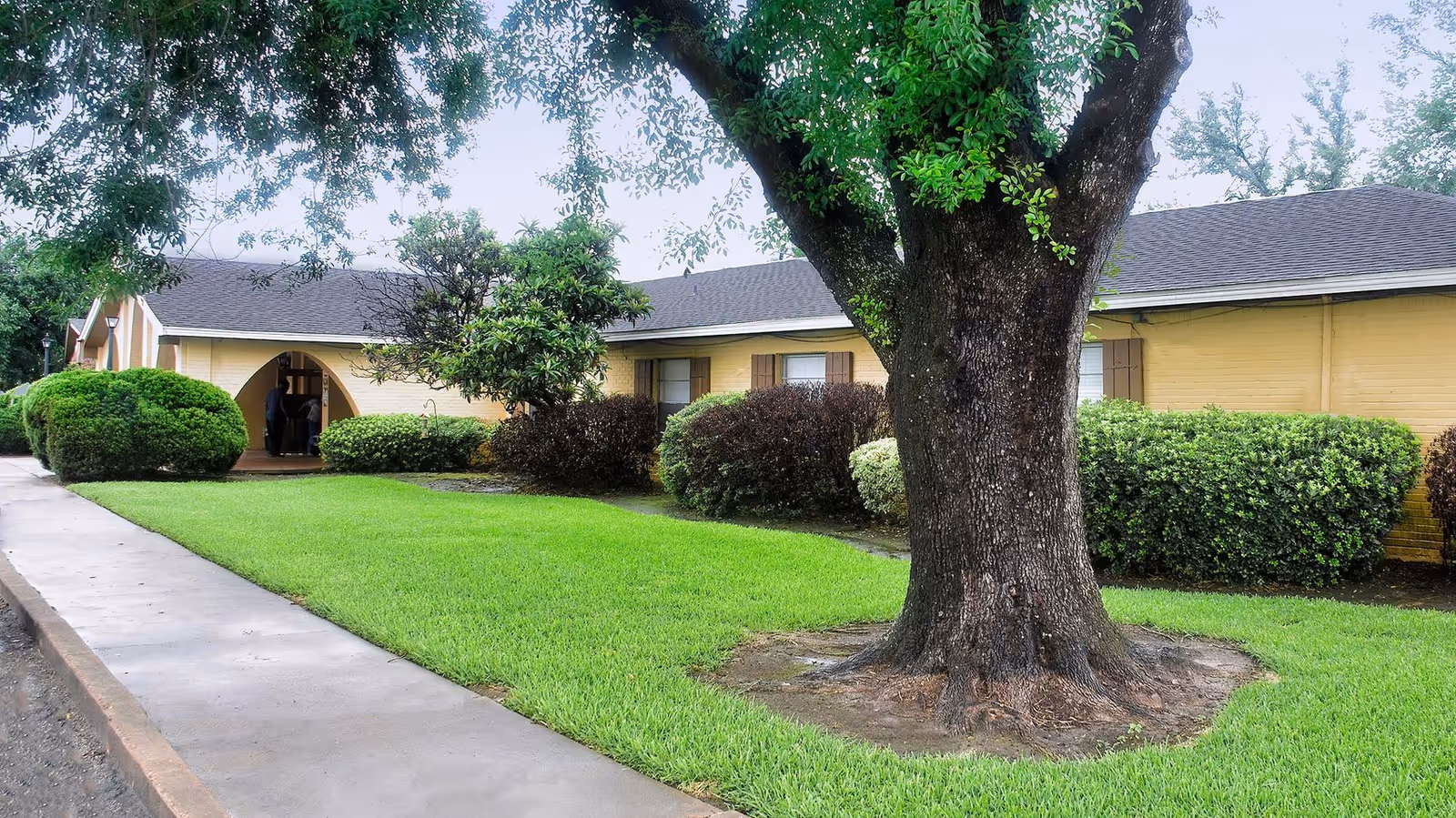 Front exterior of a single-story yellow brick building with a large tree, manicured lawn, shrubs and a sidewalk leading to the entrance.