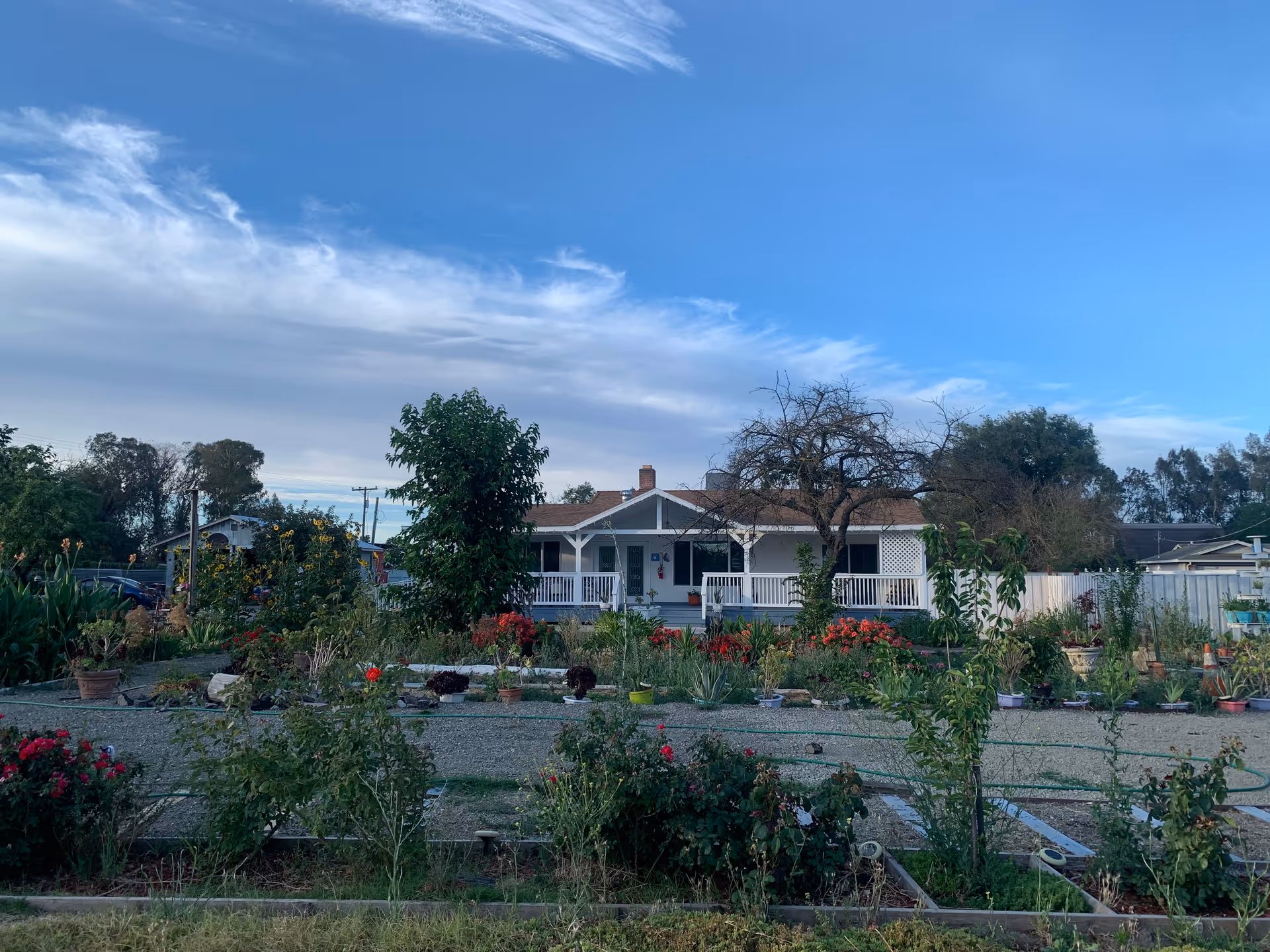 Single-story house with a front porch surrounded by a landscaped garden and flowering plants under a blue sky.