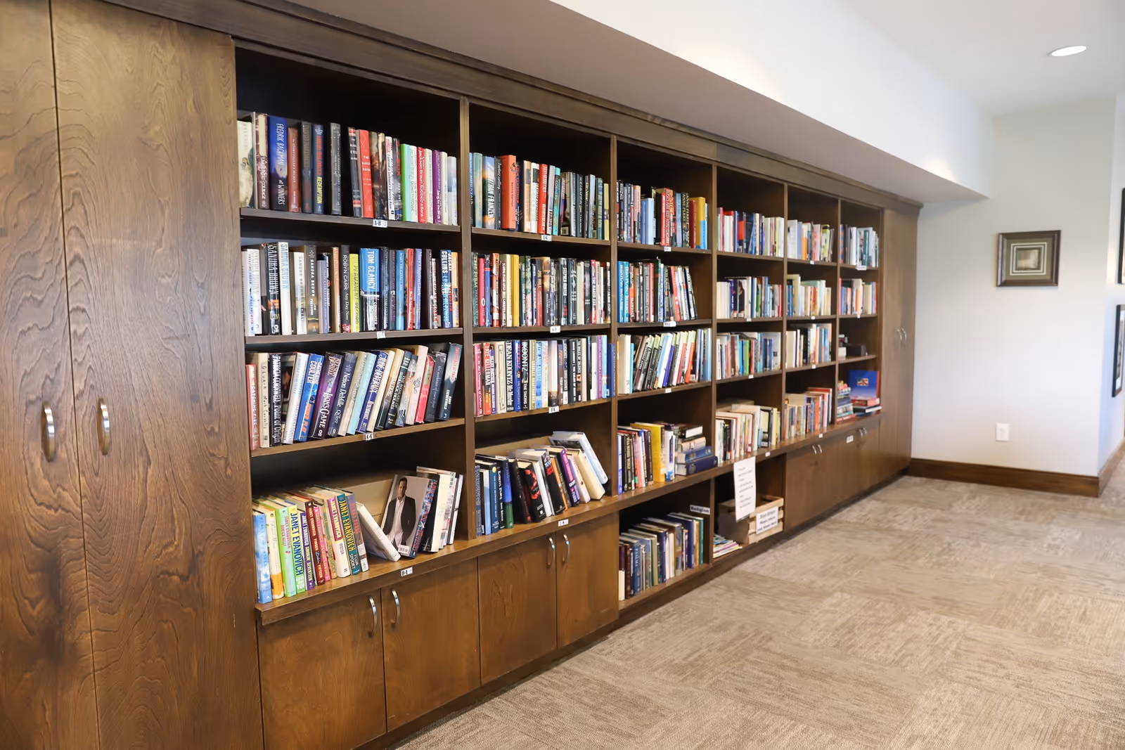 A long wooden bookshelf filled with a variety of books in a well-lit room with carpeted flooring and light-colored walls. There is a framed picture hanging on the wall to the right.