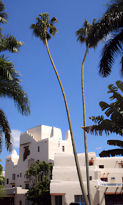 White southwestern-style multi-story building framed by tall palm trees under a clear blue sky.