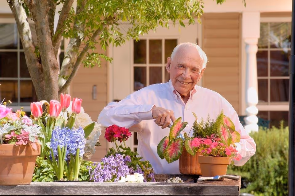 An elderly man wearing a light pink shirt is smiling while gardening outdoors. He is tending to potted plants with colorful flowers including pink, purple, and red blooms on a wooden table. Behind him is a building with beige siding, windows, and white columns, and a tree with green leaves provides shade.