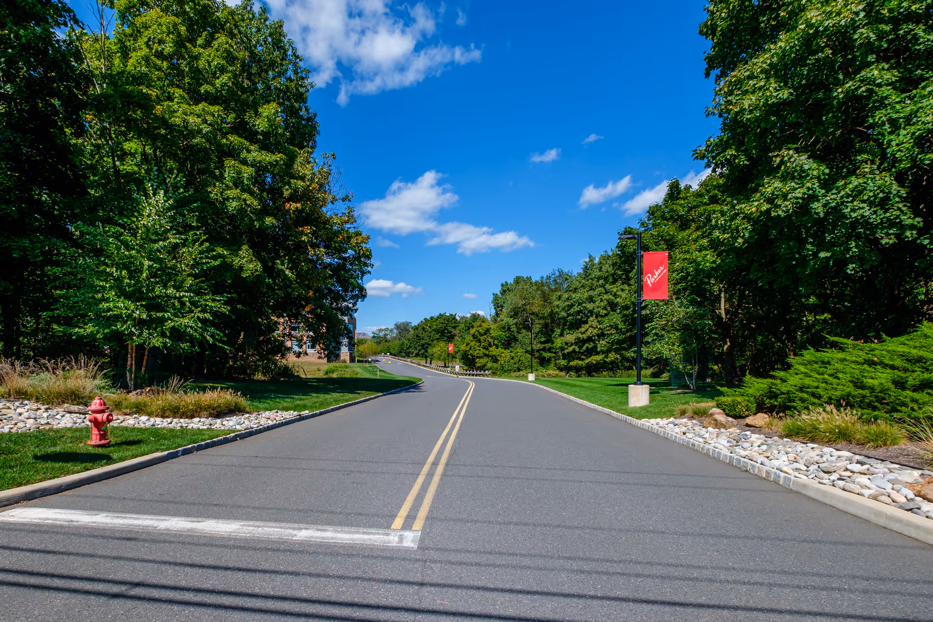 A paved road lined with green trees and bushes on both sides under a blue sky with some clouds. There are red banners on lamp posts along the road with the word 'Parker' written on them. A red fire hydrant is visible on the left side near the curb.