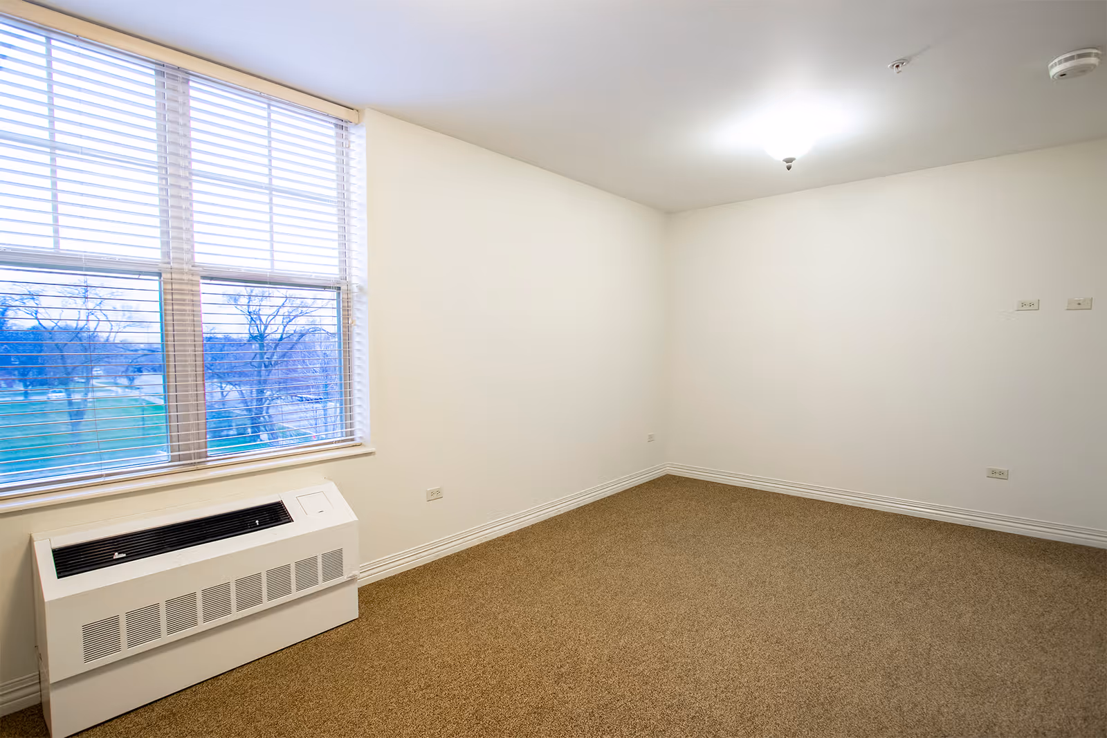 Empty room with beige carpet, white walls, a large window with blinds, and a white heating or air conditioning unit below the window. The room is well-lit with a ceiling light fixture.