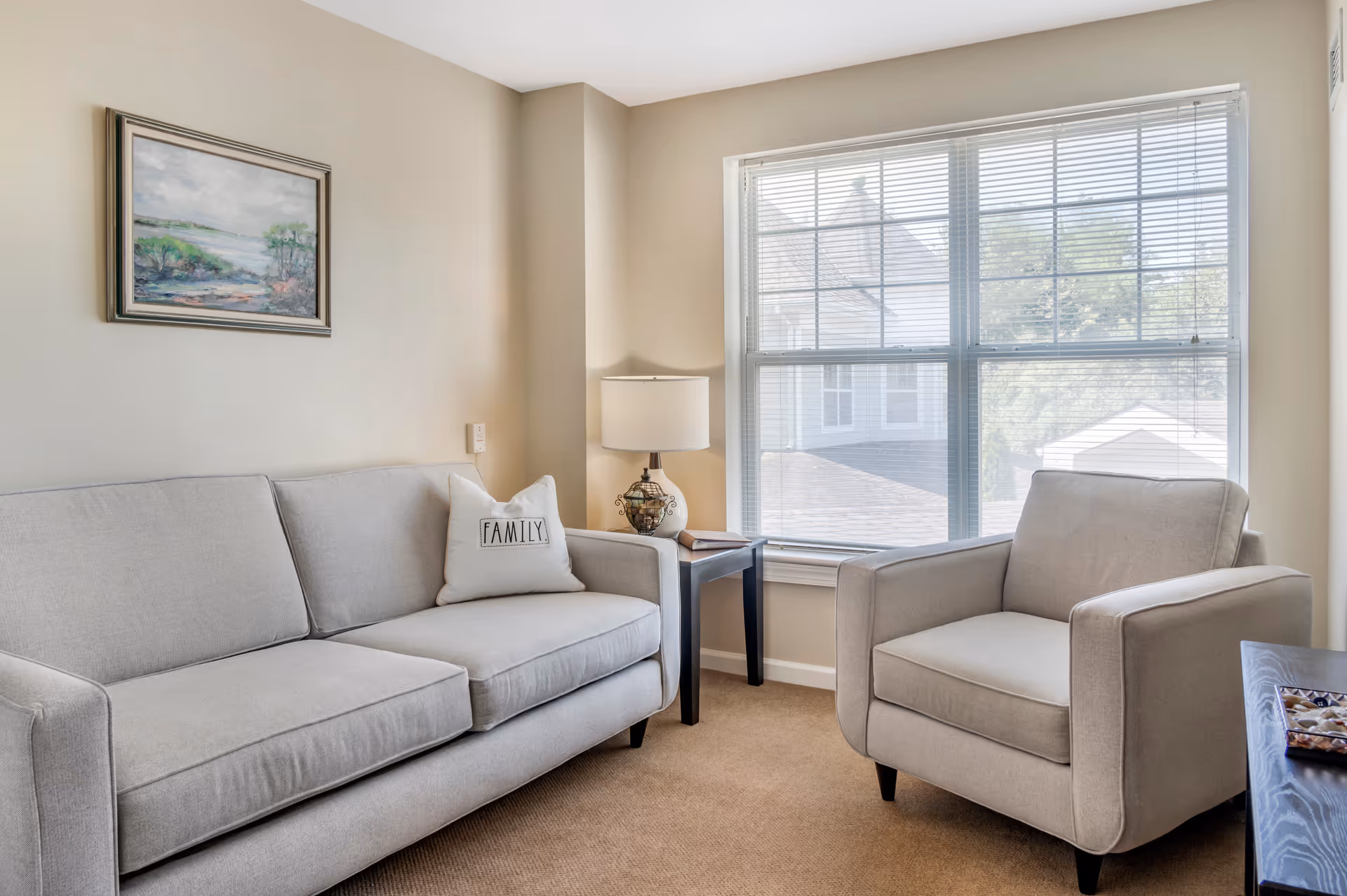 Bright living room with a gray sofa, matching armchair, side table with lamp, and a large window.