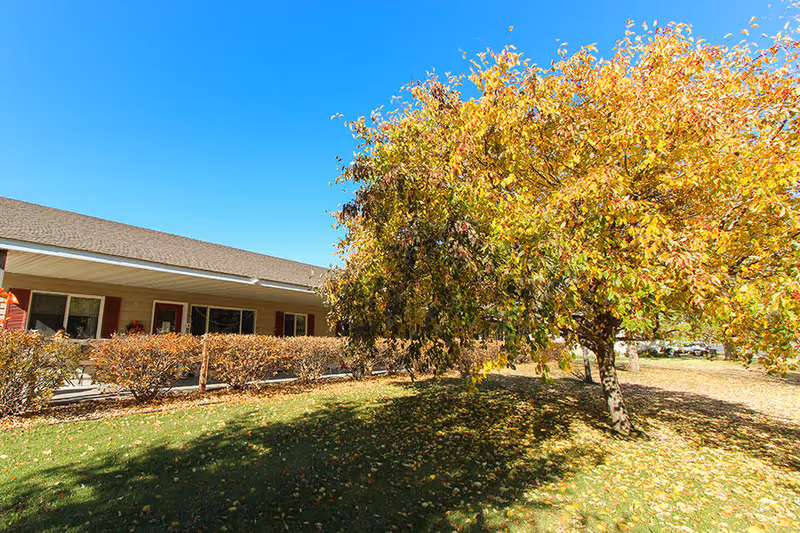One-story assisted living building with a covered porch beside a large tree with yellow autumn leaves on a sunny day.