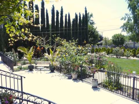 Sunny outdoor terrace with potted plants, railing, and a manicured garden beyond.