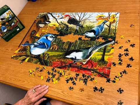 A partially completed jigsaw puzzle on a wooden table depicting various colorful birds in a natural outdoor setting with trees and leaves. A person's hand is visible near the bottom left corner of the table, working on the puzzle.
