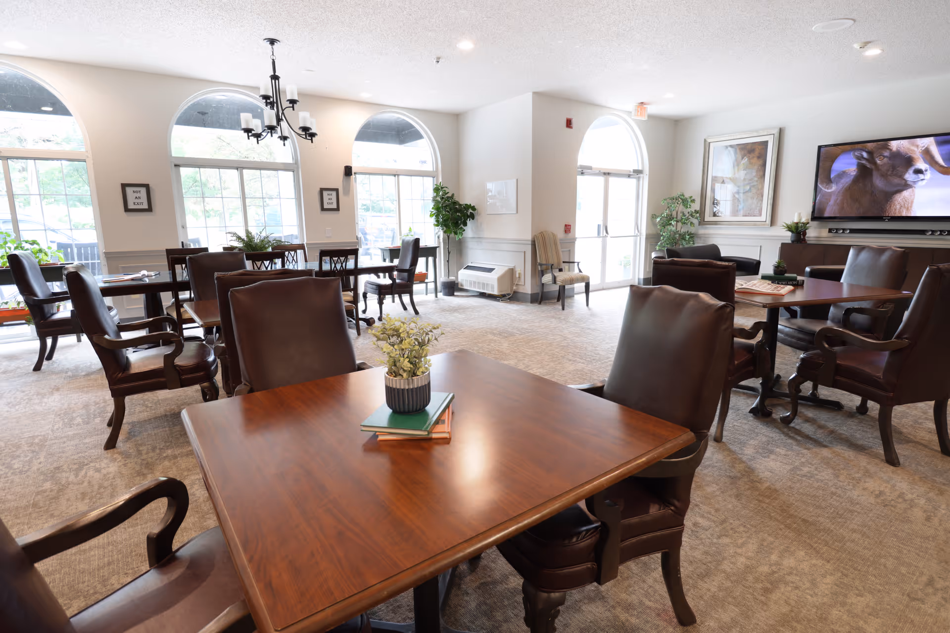A bright and spacious common area with multiple wooden tables and leather chairs arranged for seating. Large arched windows allow natural light to fill the room. A flat-screen TV is mounted on the wall displaying an image of a ram. There are plants and framed artwork decorating the space, creating a welcoming atmosphere.