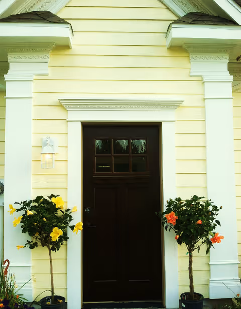 Dark wooden front door set in a pale yellow clapboard façade with white trim and potted flowering shrubs on either side.