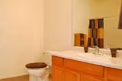 A bathroom with a toilet featuring a brown seat cover and a wooden vanity with a white countertop. On the countertop are two small decorative items, and a large mirror is mounted on the wall above the vanity.