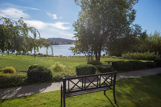 A peaceful outdoor garden area with a black metal bench facing a body of water. The scene includes green grass, trimmed bushes, trees, and a clear blue sky with some clouds.