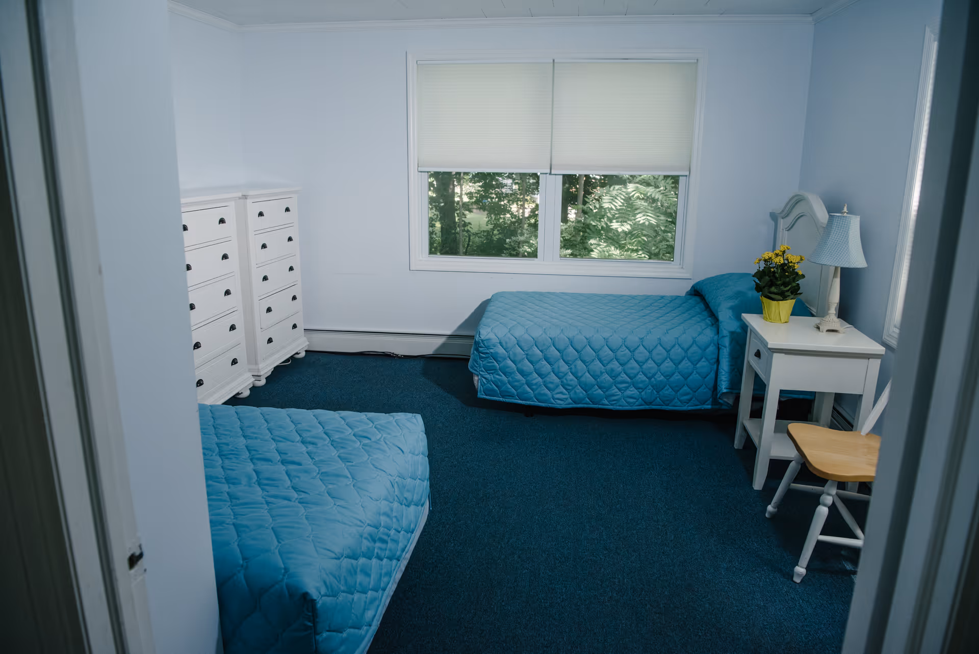 A simple bedroom with two twin beds covered in blue quilts, a white dresser, a nightstand with a lamp and plant, and a window showing trees outside.
