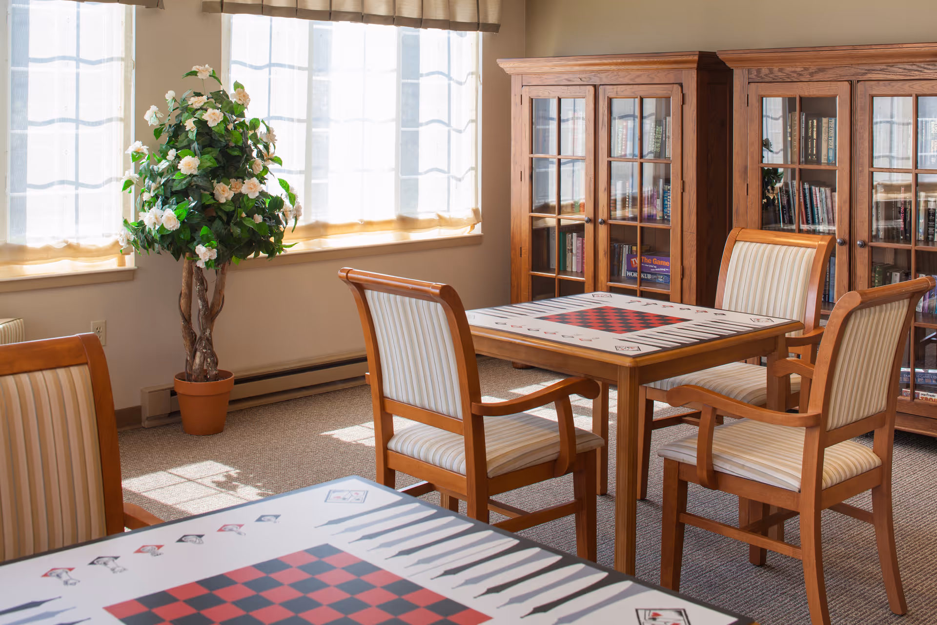 A bright room with large windows covered by sheer curtains, featuring two wooden tables with checkerboard and card game designs on the surfaces. Four wooden chairs with striped cushions surround the tables. In the background, there are two wooden bookcases filled with books, and a potted plant with white flowers is placed near the windows.