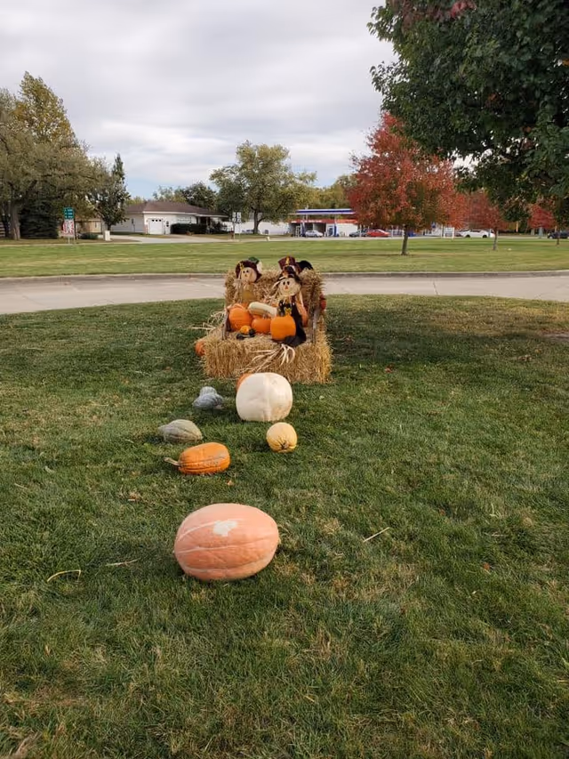 Fall lawn display with a hay bale, pumpkins and scarecrow decorations on a grassy area near a road.
