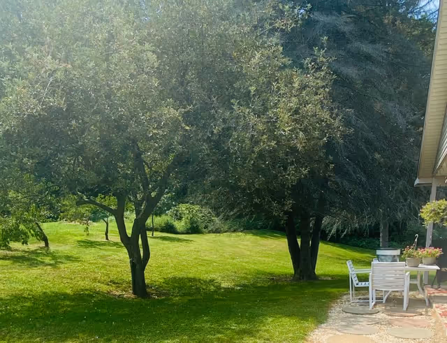 A green outdoor area with well-maintained grass, several trees providing shade, and a patio area with white chairs and a table next to a building.