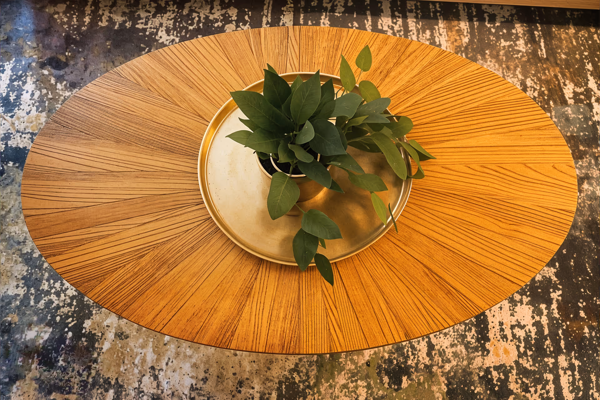 Top-down view of a round wooden table with a brass tray holding a potted green plant on a patterned rug.