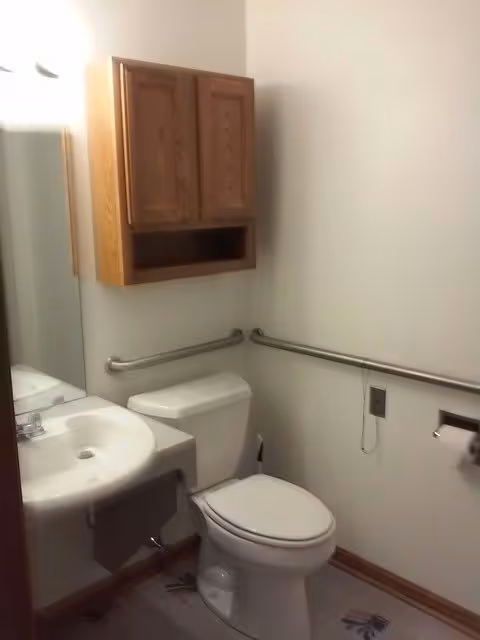 Small bathroom with a white toilet and sink. There is a wooden cabinet mounted on the wall above the toilet. Grab bars are installed on the walls next to the toilet for support. A mirror is visible above the sink, and a toilet paper holder is mounted on the wall to the right of the toilet.