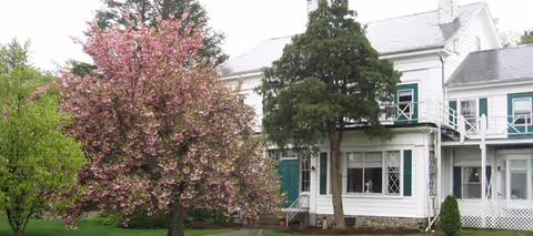 A white two-story building with green shutters and a porch, surrounded by green grass and trees, including a blooming pink tree in the foreground.