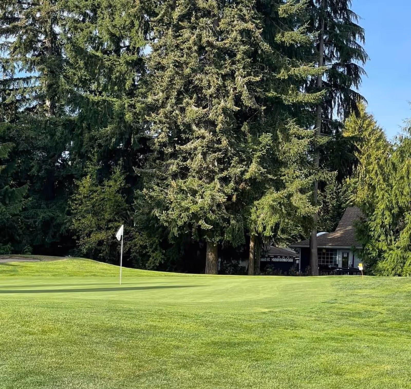 A well-maintained golf green with a white flagstick, surrounded by tall evergreen trees and a small building partially visible in the background under a clear blue sky.