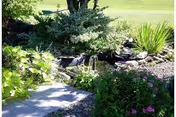 Small landscaped garden with a rock-edged pond and a gentle waterfall surrounded by shrubs, flowering plants, and a lawn.