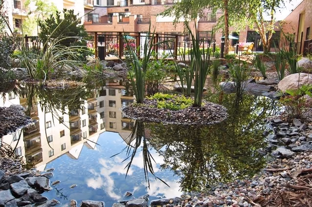 A serene outdoor pond surrounded by rocks and plants with a reflection of a multi-story building and blue sky with clouds in the water.