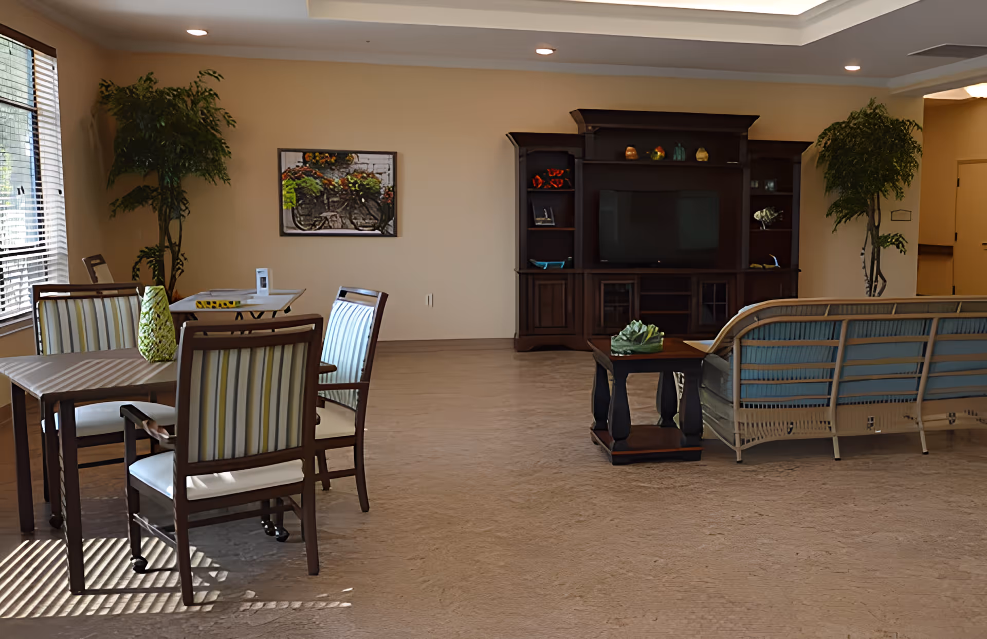 Spacious senior living common area with dining table and chairs, a sofa facing a large entertainment center, and potted plants.